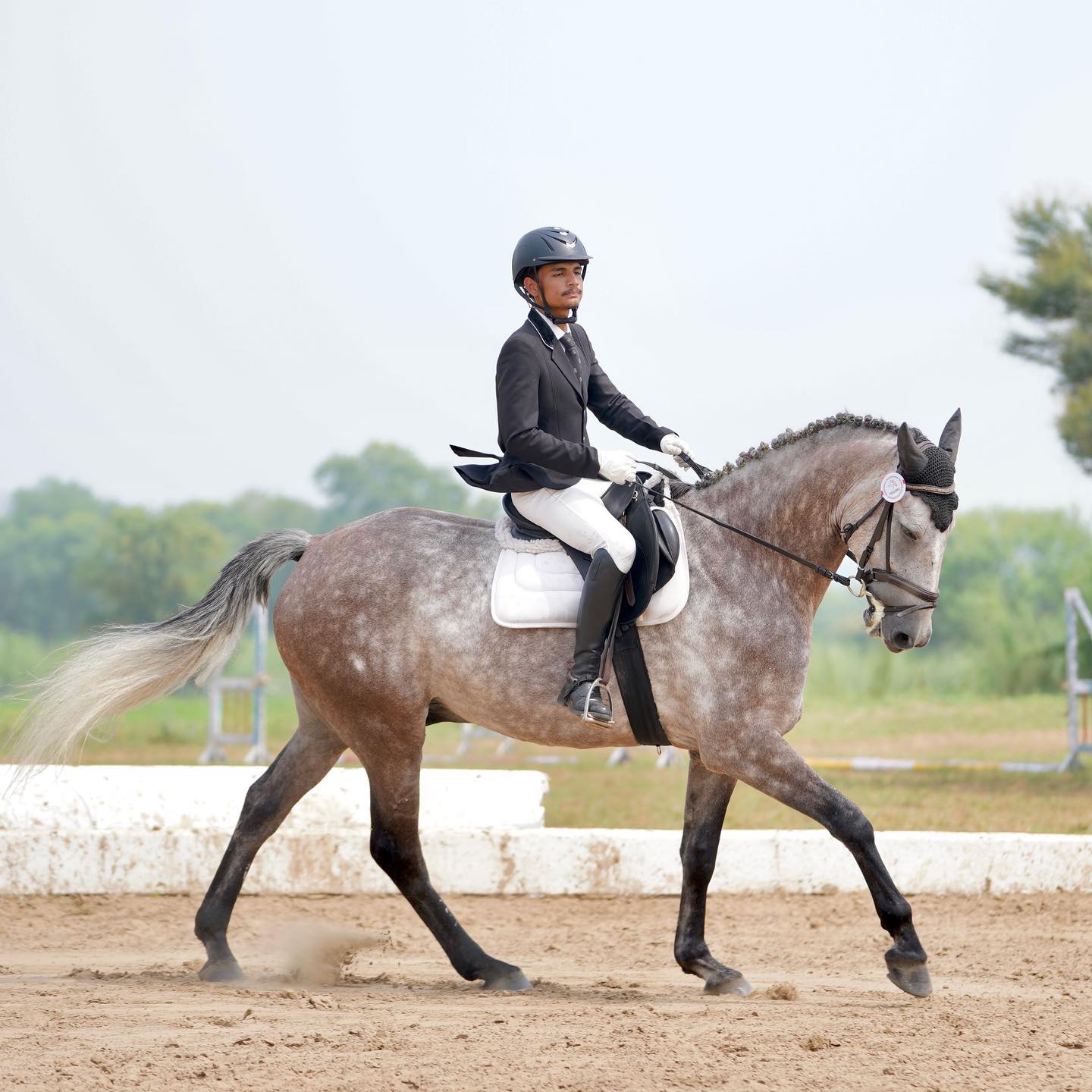 Sagar Equestrian Academy | Equestrian Sports